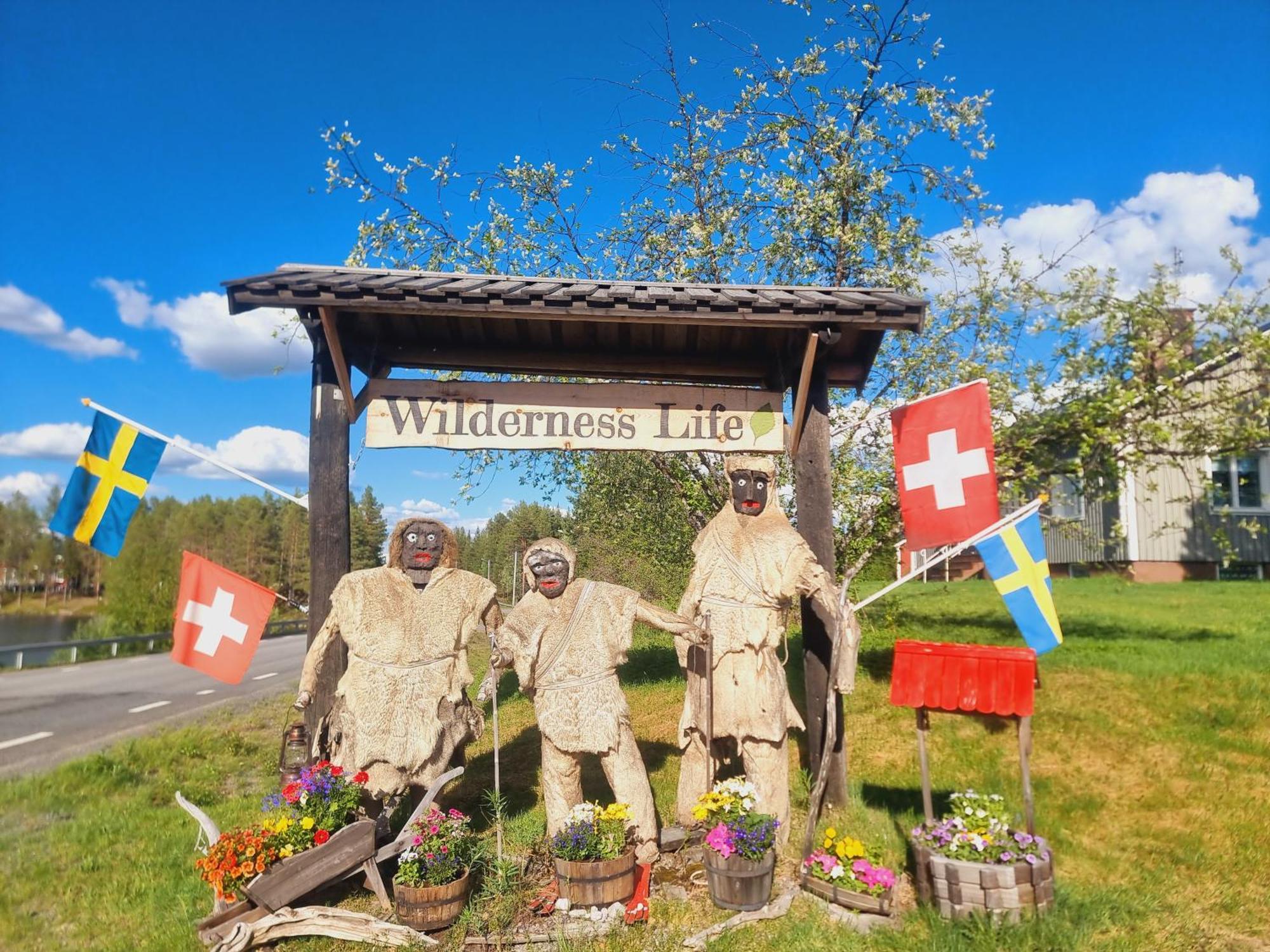 Baerenzimmer Wilderness Life Arvidsjaur Ngoại thất bức ảnh